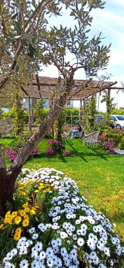 La Villa Degli Dei - Guest House Кастелламмаре-ди-Стабия Экстерьер фото