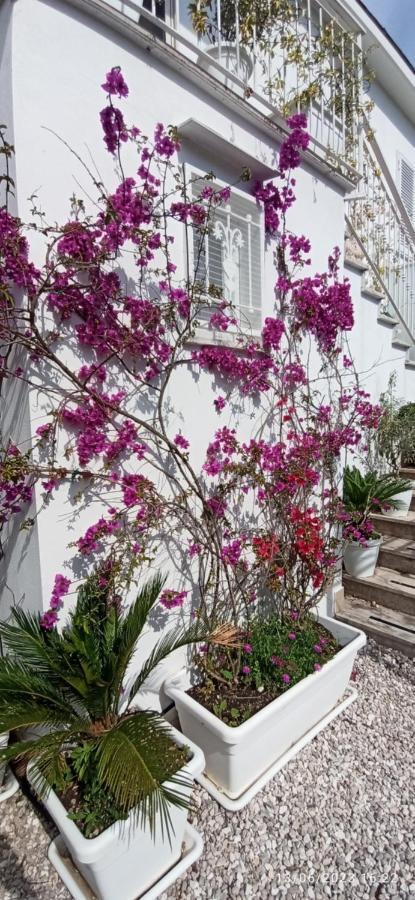 La Villa Degli Dei - Guest House Кастелламмаре-ди-Стабия Экстерьер фото